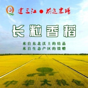 前進農場優質 長粒香水稻